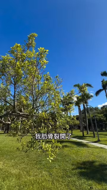 劉書宏驚傳「肋骨骨裂」！　忍痛6天揭傷勢：真的會憂鬱
