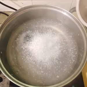 芒果牛奶西米露