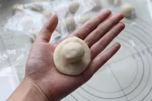 不用揉面的酥掉渣榨菜鮮肉月餅