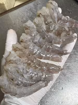 交了5000學費得來的私房餛飩配方 免費分享啦