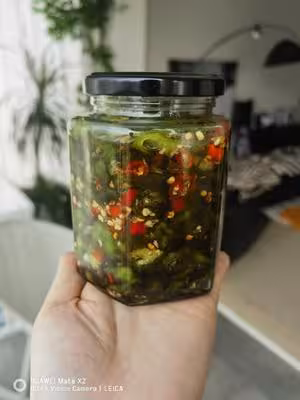 嘎嘎下飯椒（腌辣椒）