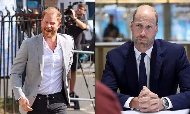 威廉王子為何對哈里憤怒?英王室兄弟情深淺引發熱議!