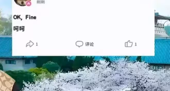 敗訴後，楊某媛直播稱「狀態很好」，武漢大學養蠱為患啊