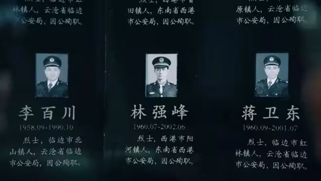 《掃毒風暴》結局:送馬英子入獄,害吳燕萍流產,盧少驊至死不悔