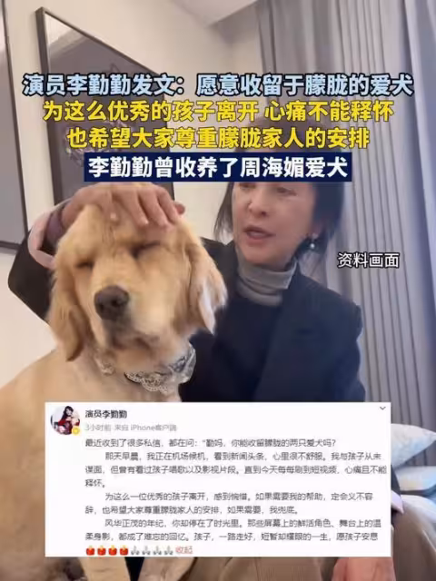 從《灼灼韶華》被罵,到為於朦朧愛犬兜底,李勤勤憑啥讓人路轉粉
