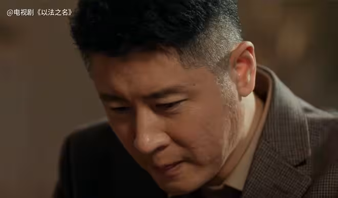 《以法之名》直到謝鴻飛家雞窩搜出金條,才知,幕後黑手藏得太深