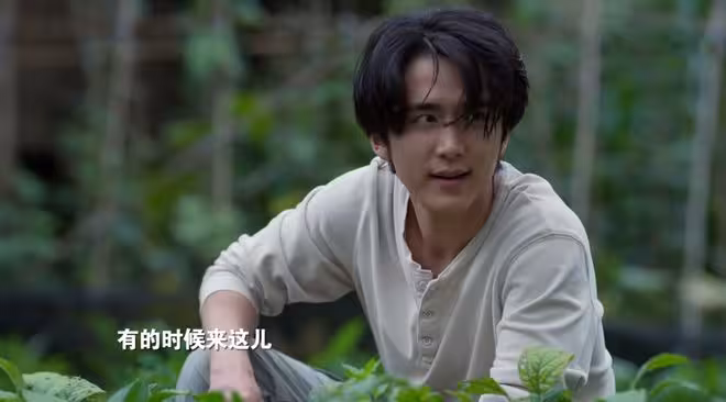 《淬火年代》為何傅阿姨盜取了機密,柳石堂卻不肯開除她