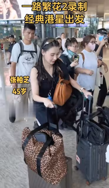 《一路繁花》張柏芝被換拽姐劉嘉玲贏了！原因曝光網友集體拒看了
