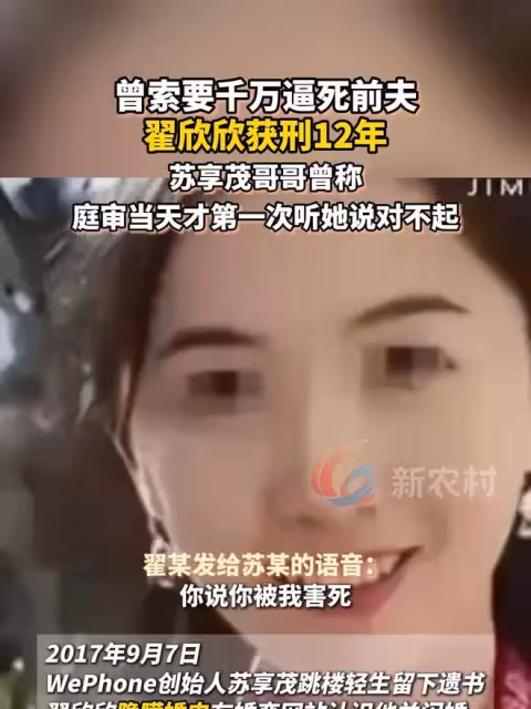 「你不得好死!」翟欣欣獲刑12年!她與前夫惡毒聊天記錄曝光