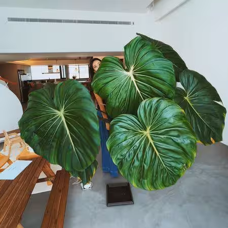 隋棠被爆積欠管理費！反控管委會3年疏於盡責：手邊留有信函紀錄