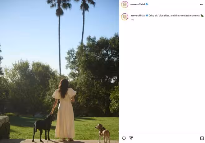 梅根·馬克爾愛犬照暗藏玄機,哈里與查爾斯國王破冰之際她卻在…