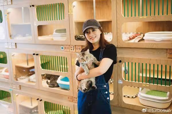 孫儷狂曬自製減脂健康餐「菜肉飯都有」 9張鐵盤照登熱搜第一!