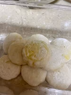 【榴槤吃法】榴槤冰皮月餅