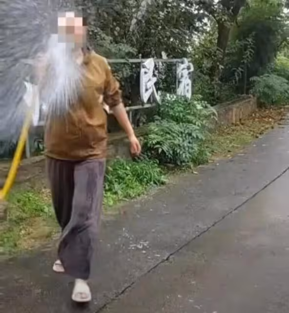 一顆板栗殼，干翻一座城，太荒誕了