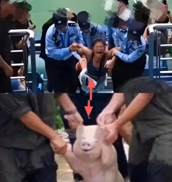 不作不死!「護照姐」丟臉國外後,洋老公迅速切割:她是家裡保姆