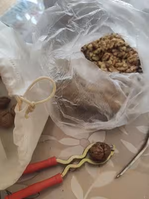 最滿意的伍仁月餅