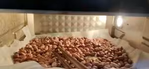 最滿意的伍仁月餅