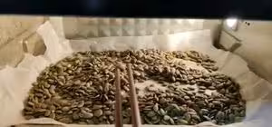 最滿意的伍仁月餅
