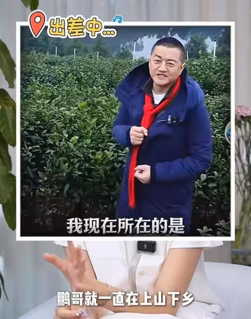 從海哈金喜到趙麗穎、馬伊琍，新時代女星的「婚姻觀」有多清醒？