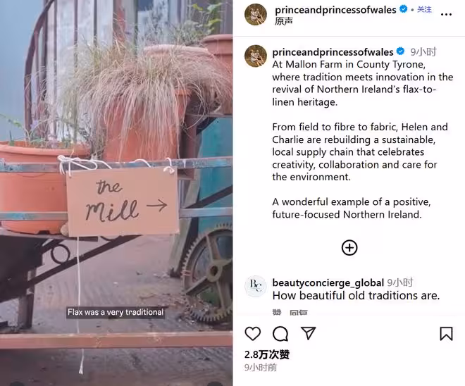 威廉凱特驚喜現身北愛爾蘭!探秘百年亞麻農場的「綠色奇蹟」