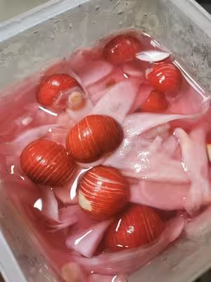 壽司店一樣味道的壽司姜