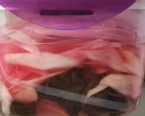 壽司店一樣味道的壽司姜