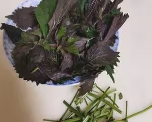 壽司店一樣味道的壽司姜