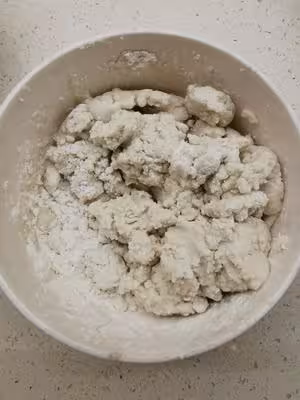 自製麻球