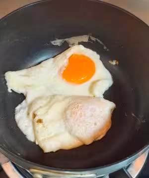 清熱奶白豆腐湯！真的鮮！