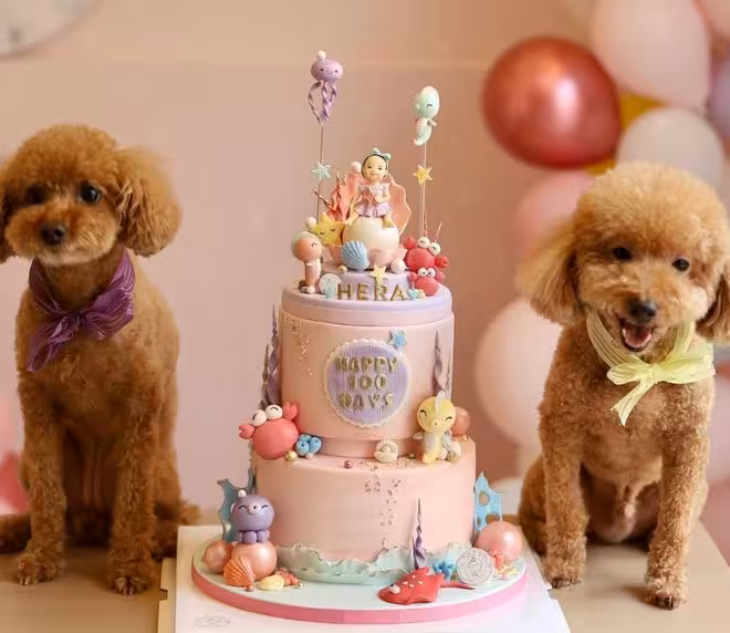 TVB知名花旦兩愛犬接連離世！傷感發文直呼「媽媽不捨得」！此事居然上內地熱搜引發討論！