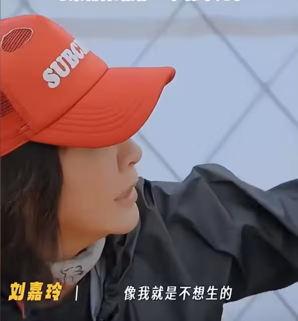 打人不打臉！何賽飛對劉嘉玲說綁架對張柏芝說床照 低情商引熱議