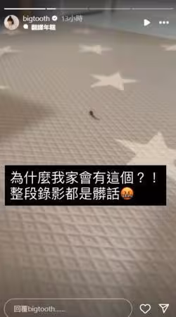 大牙打掃到一半「突見黑影蠕動」!細看嚇到狂飆髒話:跟著狗回來嗎