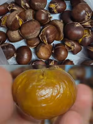 空氣炸鍋版烤栗子（無糖無油）