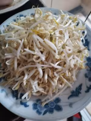 醋溜豆芽