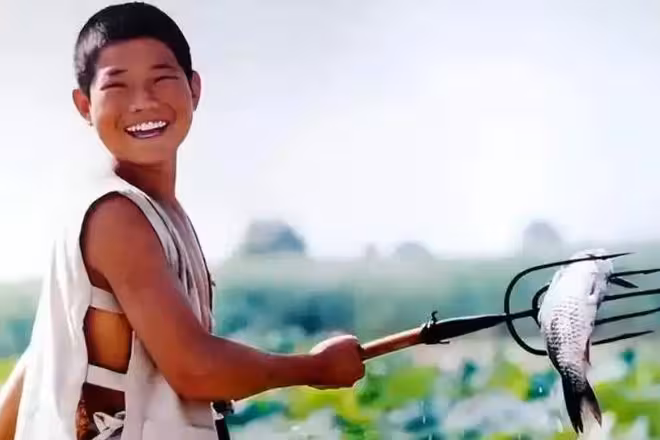 嘎子哥活動黃了，曹駿卻逆襲翻紅，內娛童星為何會活出兩種人生？