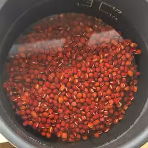 紅豆沙糯米圓子