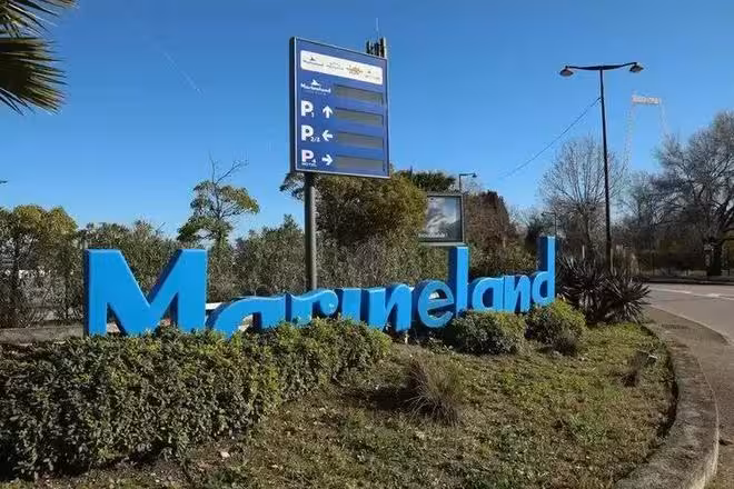 虎鯨母子困法國廢棄海洋公園,瀕死掙扎被拍,全球網友聲討
