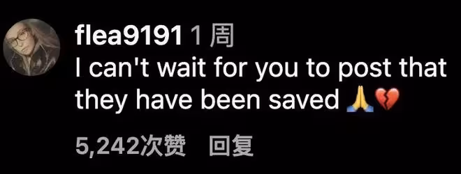 虎鯨母子困法國廢棄海洋公園,瀕死掙扎被拍,全球網友聲討