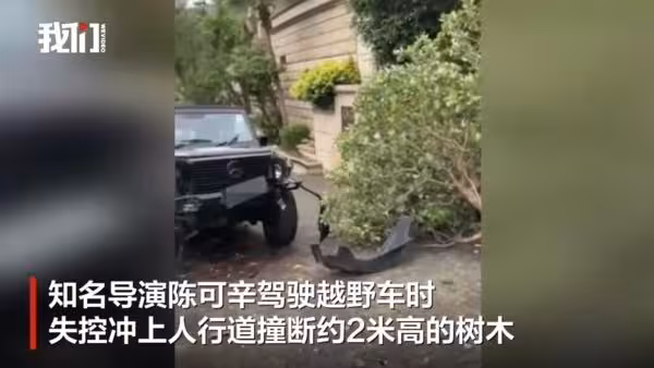 吳君如名導男友陳可辛出車禍! 「撞倒2米路樹」原因曝被贊善良