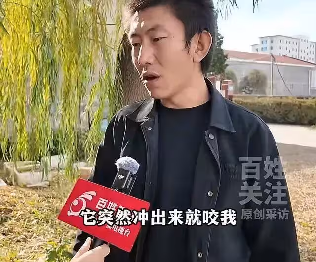 一條狗引發的血案：還原當時經過，細節太炸裂