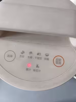 自製米皮