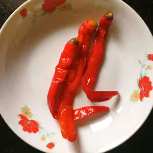 自貢·子姜兔