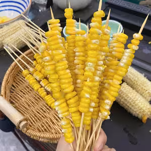 自製燒烤串📝