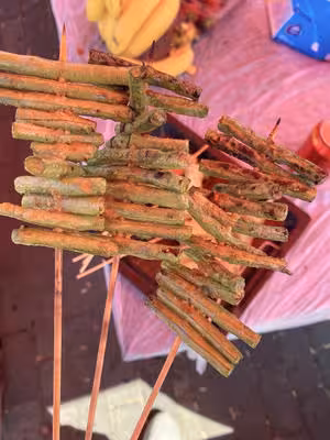 自製燒烤串📝