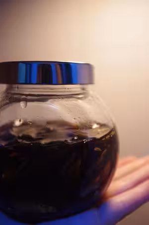 自製蔥油
