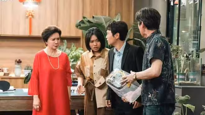 都市輕喜劇《毒舌家庭》開播,李雪琴孟鶴堂主演,能開播即燃嗎?