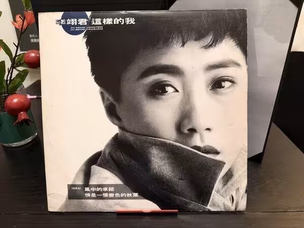 王菲幕後推手「轉型拍偶像劇慘賠」陷嚴重憂鬱 沈寂20年曝好消息