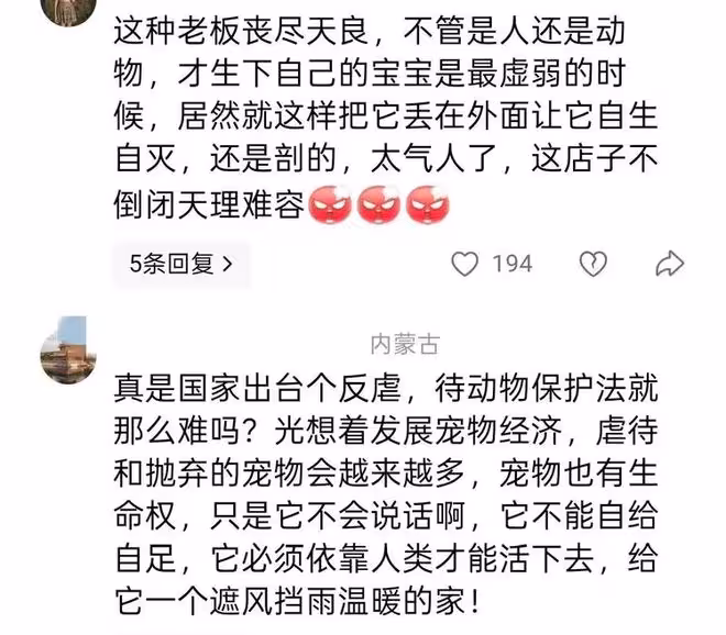 喪天良!溫州繁殖犬被剖腹取崽後丟棄,丟狗老闆帳號被扒