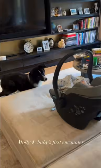 恭喜!前港姐季軍宣布生下女兒! 愛犬見到女兒驚奇!