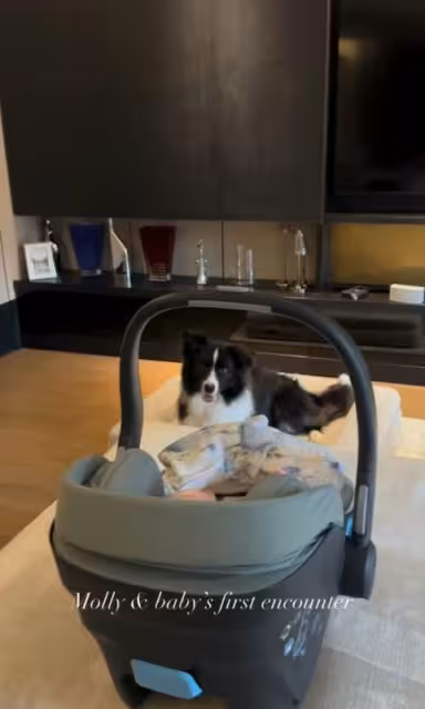 恭喜!前港姐季軍宣布生下女兒! 愛犬見到女兒驚奇!
